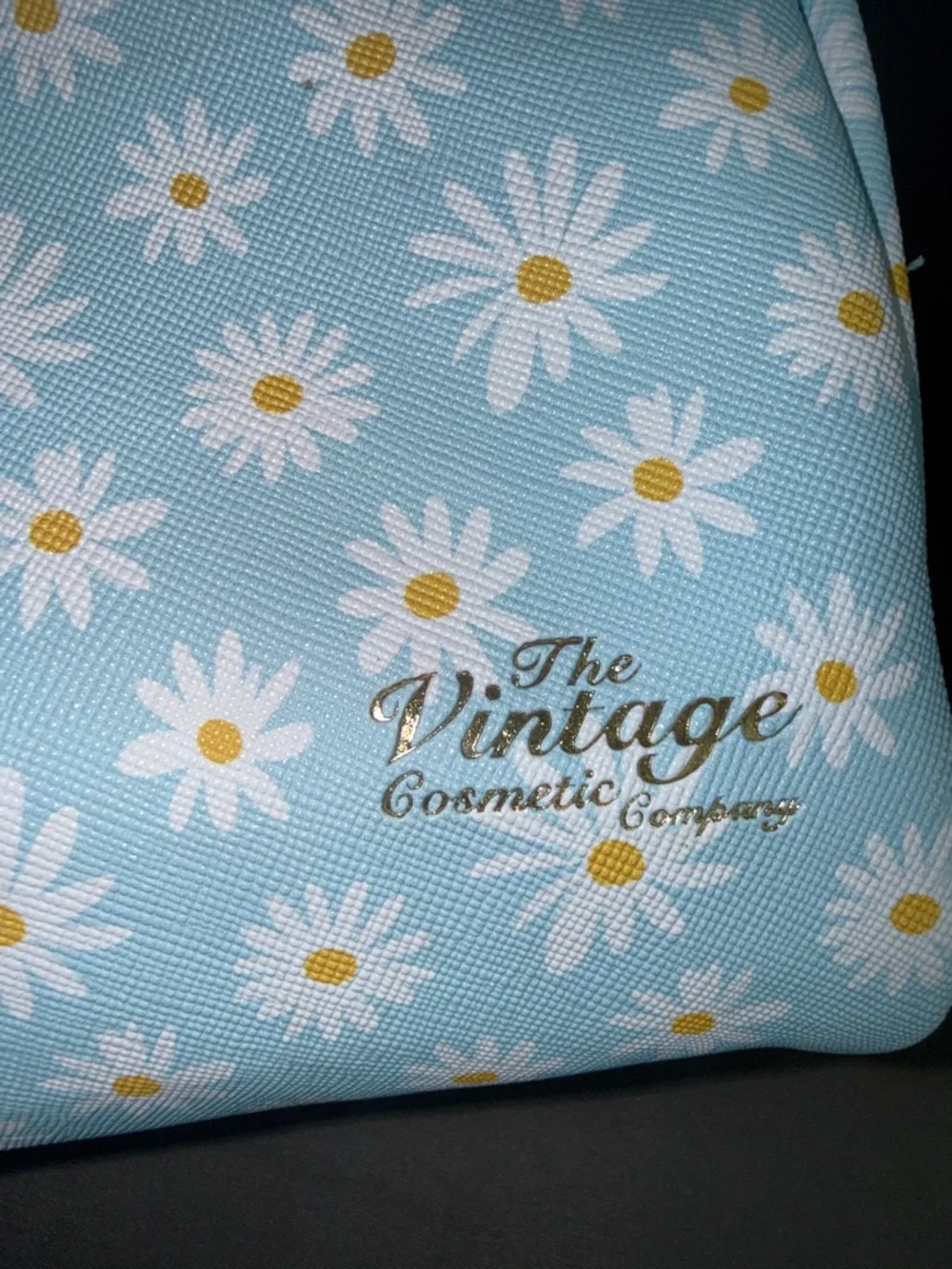 Vintage Daisy Print Light Blue Cosmetic Pouch